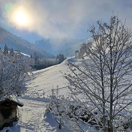 Ferienwohnungen Lehenhof Alpbach Luaran gambar