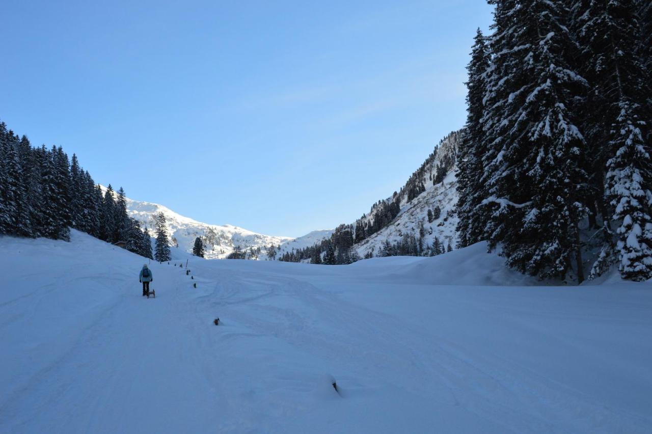 Ferienwohnungen Lehenhof Alpbach Luaran gambar
