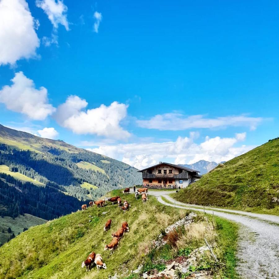 Ferienwohnungen Lehenhof Alpbach Luaran gambar