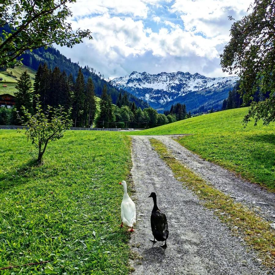 Ferienwohnungen Lehenhof Alpbach Luaran gambar